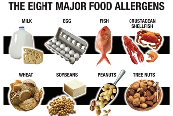 8 Major Allergens