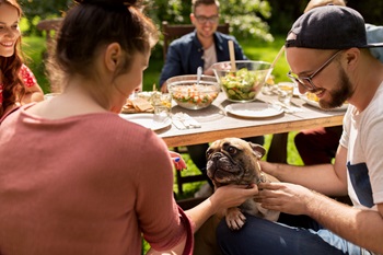 People at picnic table with dog