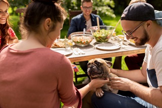 People at picnic table with dog