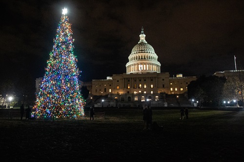 Capitol Christmas Tree 2019