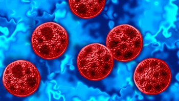 Cyclospora Blue background with red Cyclospora spores