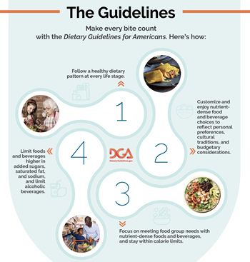 DGA_2020-2025_The4Guidelines