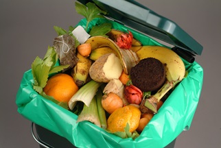 Mixed fruits and vegetables in a plastic trash bin