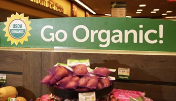 Organic Produce in the Supermarket