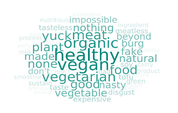 Plant Based Food Word Cloud