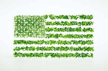 Sustainability in US