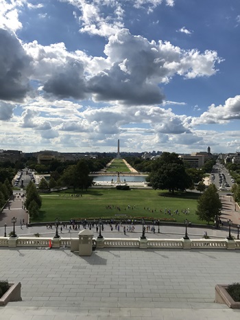 The View from Washington
