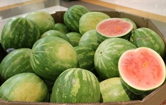 Watermelons are just one of many foods that could be impacted by new menu labeling rules.
