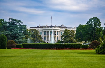 White House Image