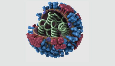 Influenza A Virus