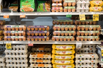 Eggs in Supermarket