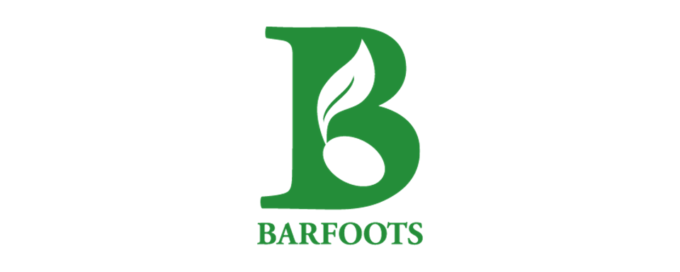 Barfoots UK logo - in 5x2 Frame