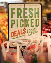 20151208-FMI-085-WEBv2