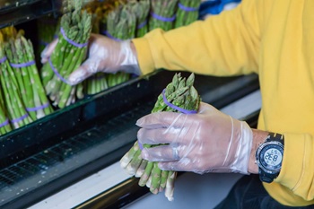 FMI-12092014_039_e_WEB